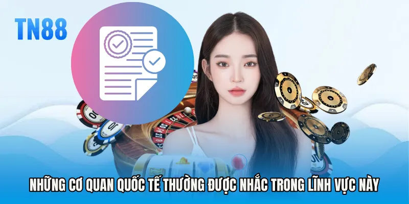 Những cơ quan quốc tế thường được nhắc trong lĩnh vực này